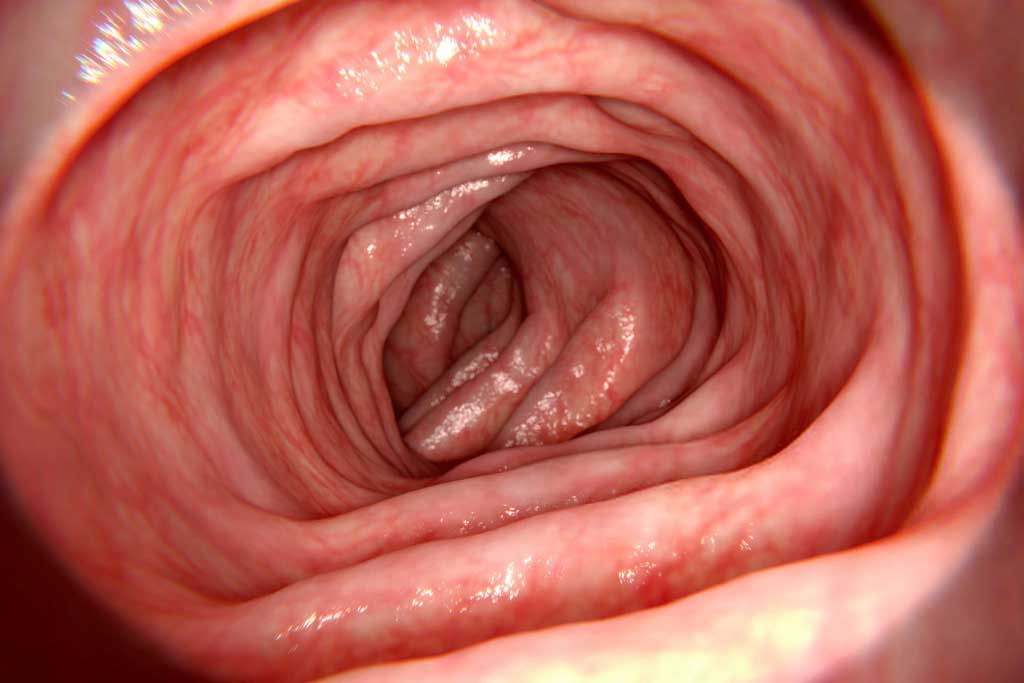 gastroenterología infanto juvenil Centro de Especialidades Médicas Cumbres del Santuario