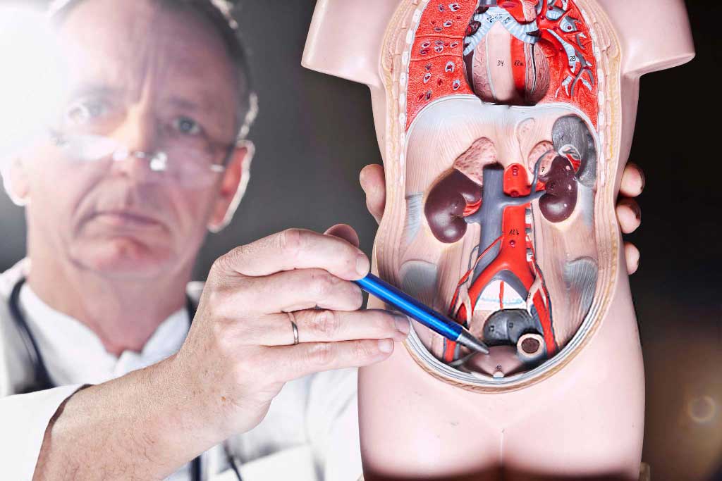 Urología Centro de Especialidades Médicas Cumbres del Santuario